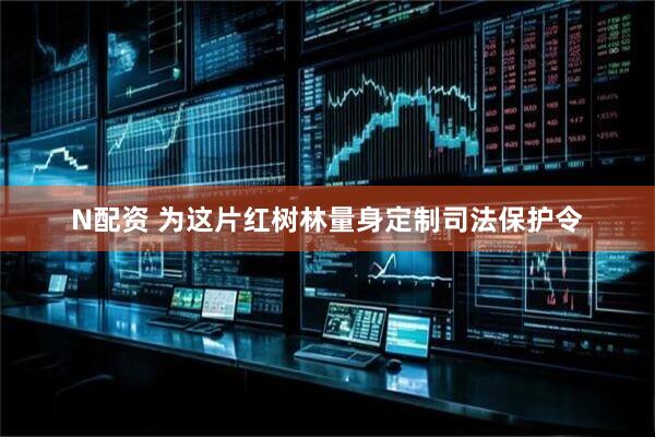 N配资 为这片红树林量身定制司法保护令