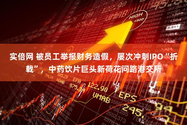 实倍网 被员工举报财务造假，屡次冲刺IPO“折戟”，中药饮片巨头新荷花问路港交所