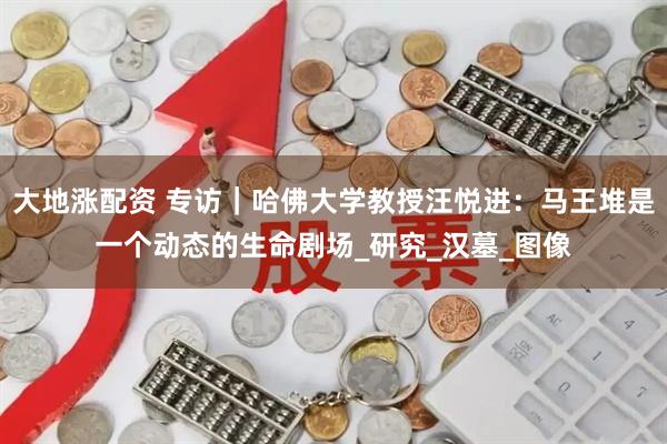 大地涨配资 专访｜哈佛大学教授汪悦进：马王堆是一个动态的生命剧场_研究_汉墓_图像