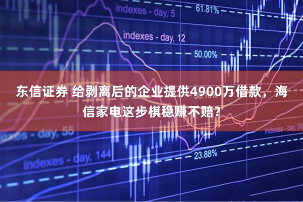 东信证券 给剥离后的企业提供4900万借款，海信家电这步棋稳赚不赔？